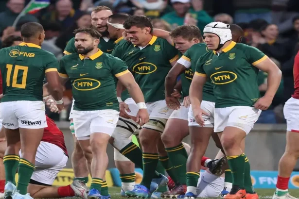 Rugby Championship Uncovered The Springboks' Unstoppable Legacy