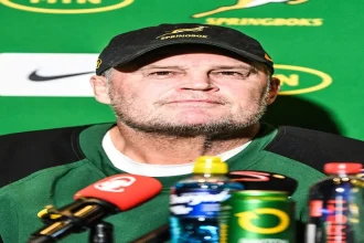 Springboks vs Ireland: Erasmus' Masterplan To Squash Dominant Ireland