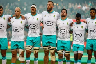 Springboks vs Portugal: Boks Looking to Experiment Against Portugal