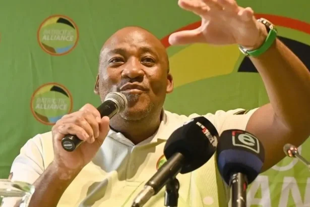 Top 10 Priorities for Gayton McKenzie as Minister of Sports