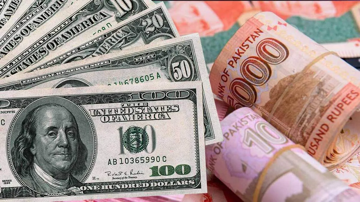 1 USD To PKR: US Dollar To Pakistani Rupees | Gauteng News