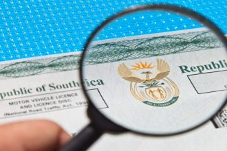 Check Your Vehicle License Online