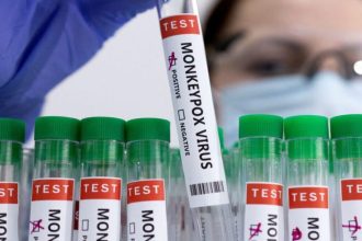 WHO Declares Global Emergency in Response to Monkeypox Virus Outbreak