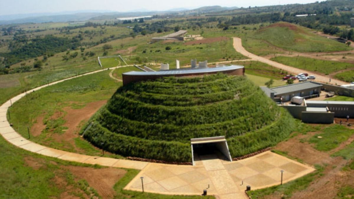 The Cradle of Humankind: Unveiling Our Origins