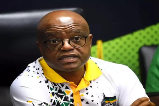 Joburg Mayor Proposes Foreign Nationals Serve as JMPD Officers