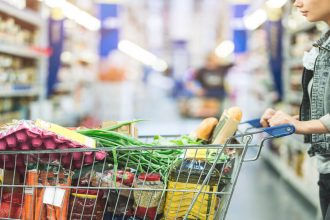 Food Prices: Tracking Changes Over the Past 12 Months: Woolies vs Checkers vs Pick n Pay