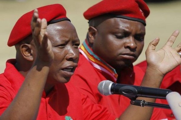 Julius Malema Vows Loyalty to EFF Till the End After Floyd Shivambu's Exit