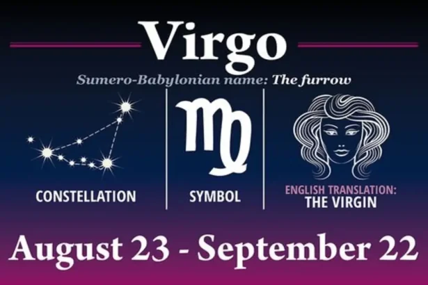Daily Horoscope for Virgo - August 20, 2024