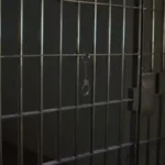 Man Sentenced for R3 Million Vehicle Finance Fraud: Justice Served