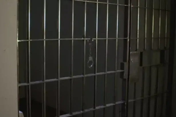 Man Sentenced for R3 Million Vehicle Finance Fraud: Justice Served