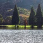 Gillooly's Farm