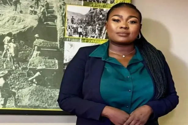 ANC Gauteng MPL Moipone Mhlongo Rescued After 'Traumatic' Kidnapping Ordeal