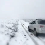 Roads Re-opened Across Provinces After Government Declares End to Snowstorm Disruptions