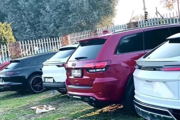 Disgraced Tenderpreneur Hamilton Ndlovu's Flashy Car Collection Goes to Auction