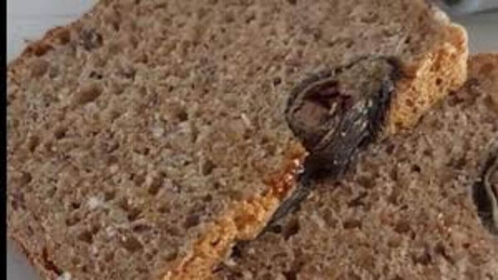 Sasko Suspends Bread Production at Facility After A Woman Found A Rat in Their Bread