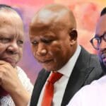 Naledi Pandor challenges Julius Malema to substantiate claims involving her family in the VBS Mutual Bank scandal