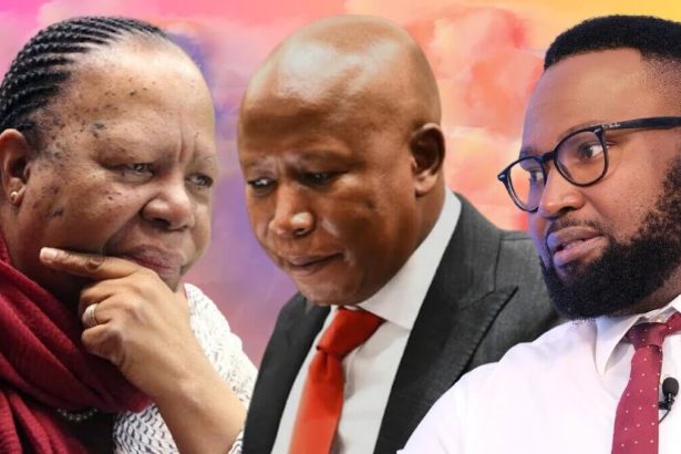 Naledi Pandor challenges Julius Malema to substantiate claims involving her family in the VBS Mutual Bank scandal