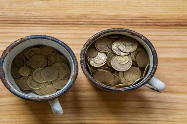 Number of South Africans Attempting Two-Pot System Withdrawals on the First Day Revealed