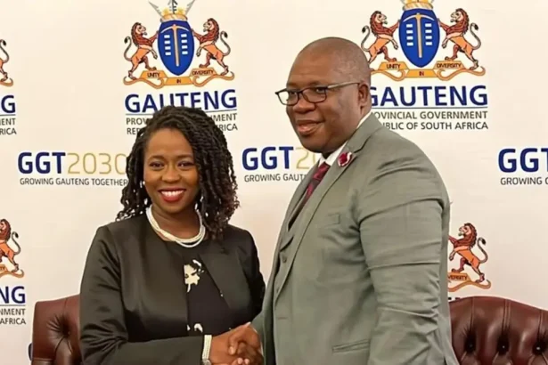 Vuyiswa Ramokgopa Appointed as Acting Premier of Gauteng