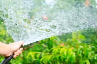Gauteng Residents Face Water Restrictions: No Garden Watering Between 6 AM and 6 PM
