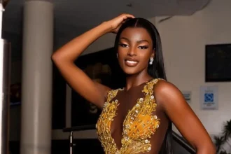 Home Affairs to Prosecute Adetshina and Mother for Identity Fraud, Documents Withdrawn