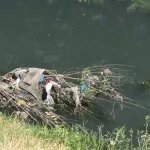 Severe Pollution Threatens Ekurhuleni's Waterways: Urgent Water Security Concerns at Gillooly’s Farm