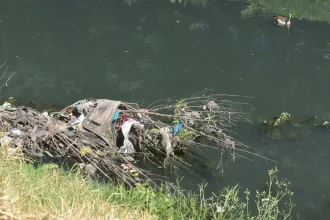 Severe Pollution Threatens Ekurhuleni's Waterways: Urgent Water Security Concerns at Gillooly’s Farm