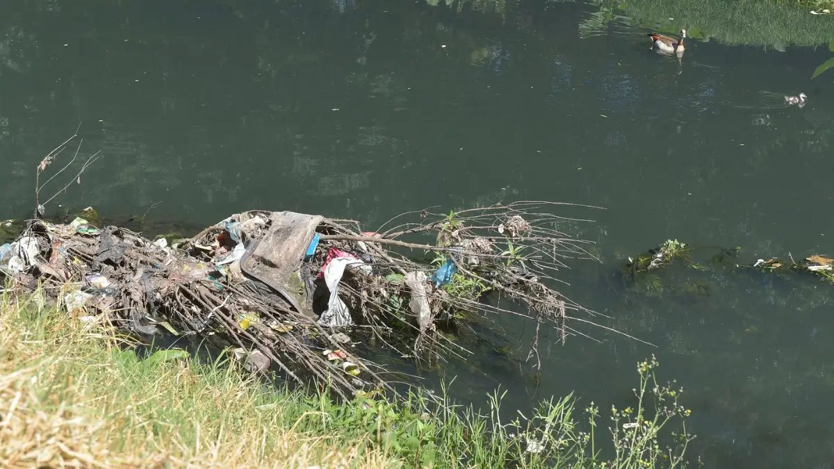 Severe Pollution Threatens Ekurhuleni's Waterways: Urgent Water Security Concerns at Gillooly’s Farm