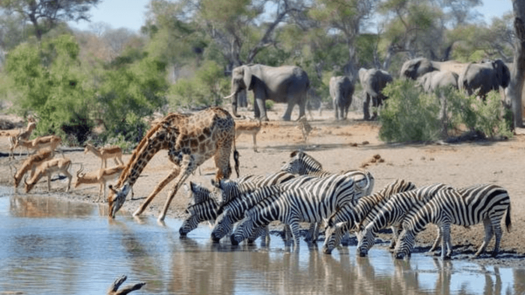 December Holiday Destinations in Mpumalanga
