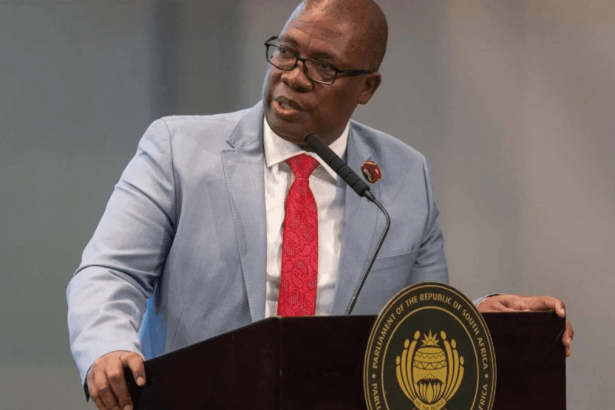 Lesufi Expresses Crime Concerns as Johannesburg Prepares to Host G20 Summit in 2025