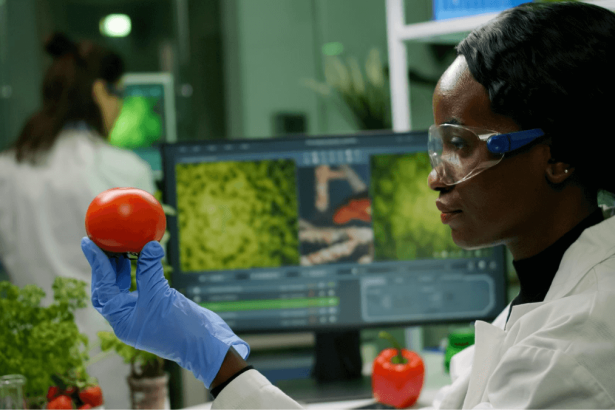 RCL Foods In-Service Trainee Opportunities in Quality Control