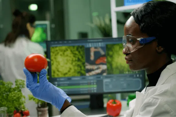 RCL Foods In-Service Trainee Opportunities in Quality Control