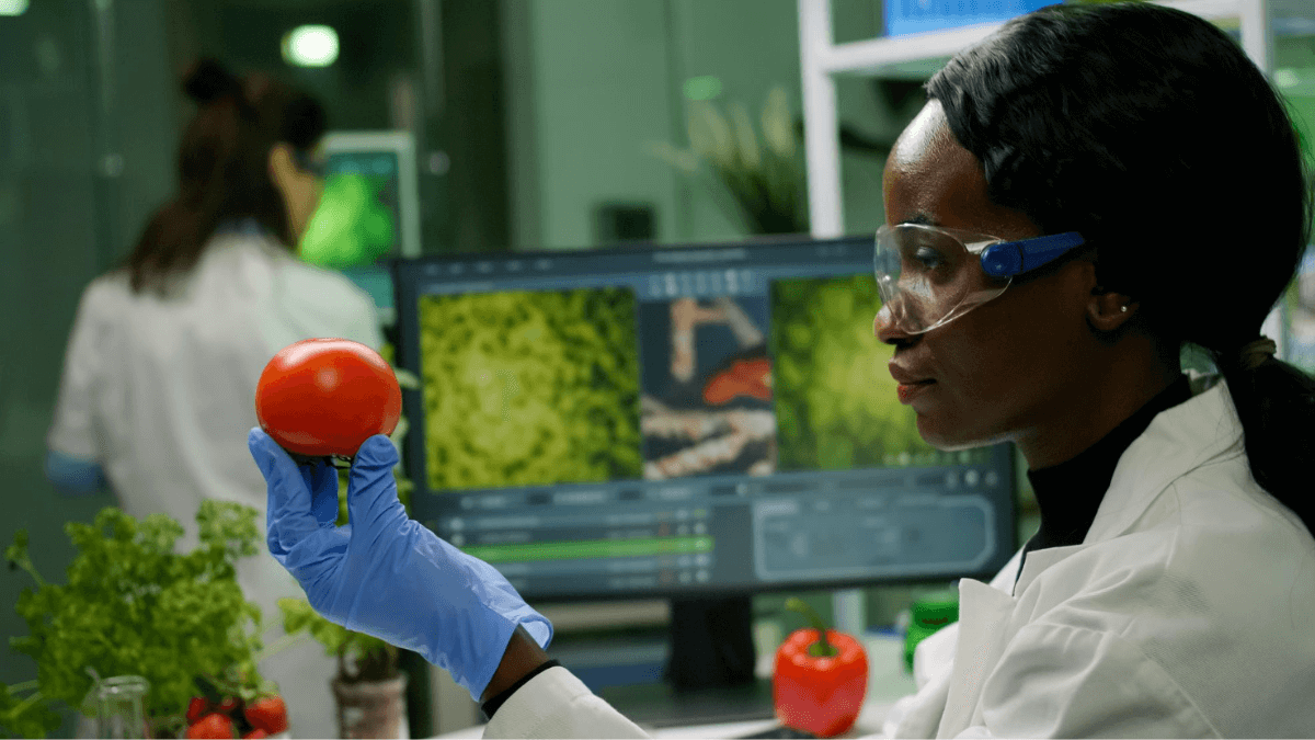RCL Foods In-Service Trainee Opportunities in Quality Control