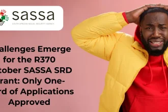 Challenges Emerge for the R370 October SASSA SRD Grant: Only One-Third of Applications Approved – Here’s Why