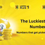 Lucky Lotto Numbers