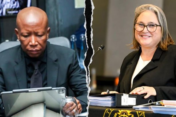 Judge Cowen Admits Uncertainty in Response to Malema’s Question on Land Issue