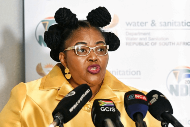 DA Backs Minister Majodina’s Urgent Solutions for Gauteng's Water Crisis Amid Infrastructure and Payment Issues