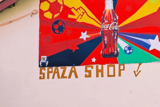 Health Minister - Spaza Shops Food Safety