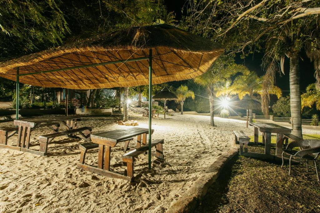 Pecan Bush Lodge Review: Ideal Festive Season Retreat or 2025 Bucket List Adventure?