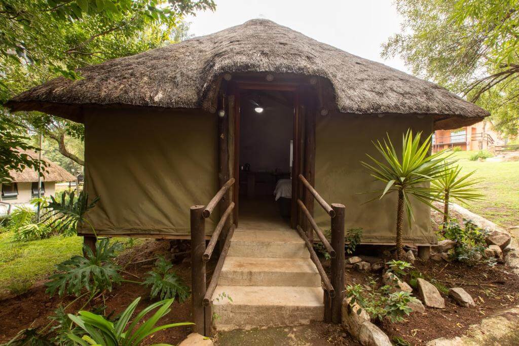 Pecan Bush Lodge Review: Ideal Festive Season Retreat or 2025 Bucket List Adventure?