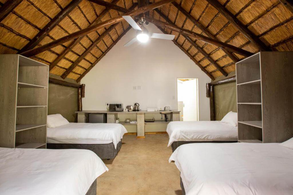 Pecan Bush Lodge Review: Ideal Festive Season Retreat or 2025 Bucket List Adventure?