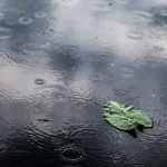 Weather Update: Heavy Rain Expected to Continue Across Gauteng This Week