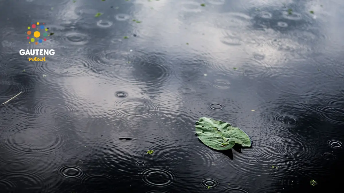 Weather Update: Heavy Rain Expected to Continue Across Gauteng This Week