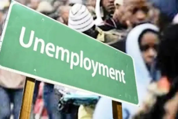South Africa's Unemployment Rate Drops to 32.1% in Q3 2024, Marking A Notable Decline