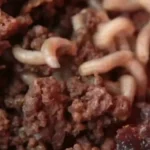 Community Outrage: Indian Shop Owner Forced to Eat Allegedly Unsafe Food He Sells