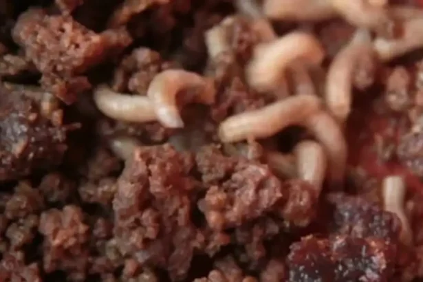 Community Outrage: Indian Shop Owner Forced to Eat Allegedly Unsafe Food He Sells