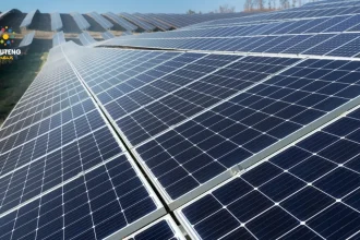 Rooftop Solar Demand Soars in South Africa Despite Reduced Load Shedding