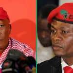 Julius Malema Loses Another EFF Founding Member to Zuma's MKP: Former North West Chair Resigns