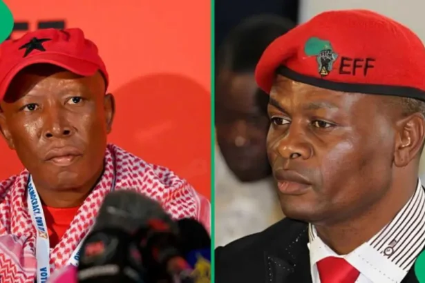 Julius Malema Loses Another EFF Founding Member to Zuma's MKP: Former North West Chair Resigns
