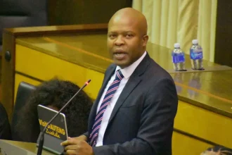 Gauteng Medium Term Budget Policy Statement 2024: Key Insights from MEC Lebogang Maile